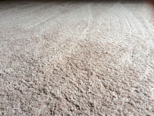 Plush Carpet Installation in Hemet